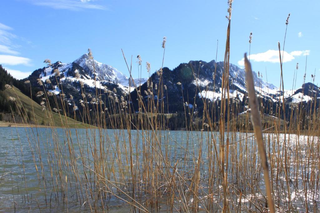 Hostellerie Am Schwarzsee Bad-Schwarzsee Ngoại thất bức ảnh